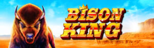 Bison King class 2 video slot.