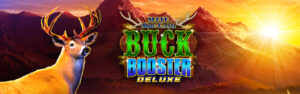 Super Slots of Cash Buck Booster Deluxe class 2 video slot.