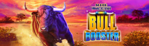 Super Slots of Cash Bull Booster class 2 video slot.